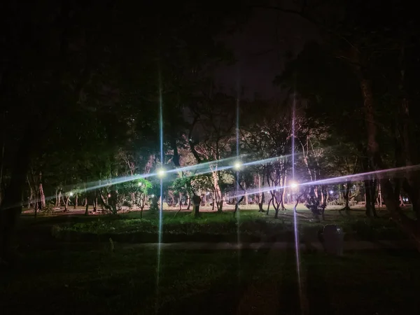 Luce sfocata nel parco di notte nel parco — Foto Stock