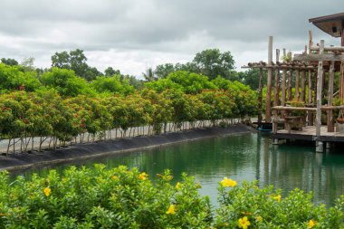 Su sarı ve kırmızı çiçeklerle çevrili, tahtadan rahat koltuklar. Yaz parkı.