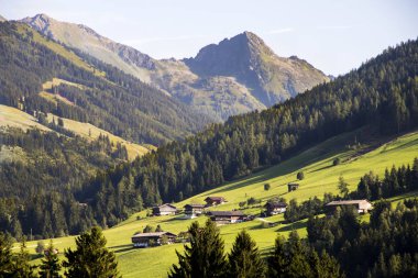 Alpbach, Batı Avusturya Tyrol eyaletinde bir şehir