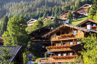 Balkon Alpbach, Batı Avusturya Tyrol eyaletinde bir şehir çiçeklerle