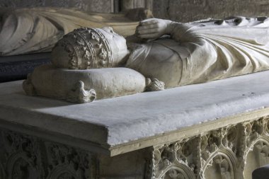 Palais des Papes ya da Papalık Sarayı, Avrupa'nın en büyük ve en önemli ortaçağ Gotik binalardan biri. 1995 yılından bu yana Dünya Mirası