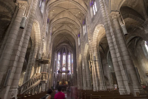 프랑스 알비에 Saint Salvi Collegiate Church 2010 — 스톡 사진