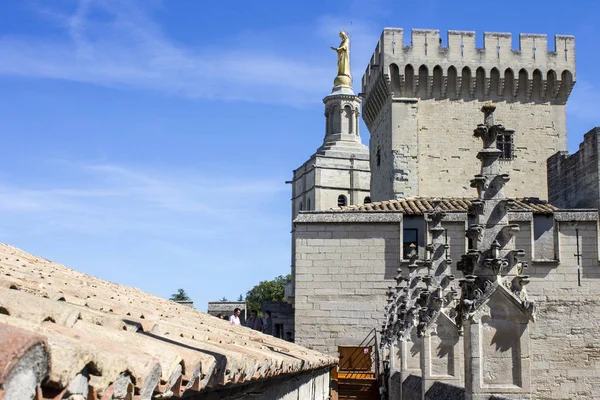 Palacio Los Papas Uno Los Edificios Góticos Medievales Más Grandes — Foto de Stock