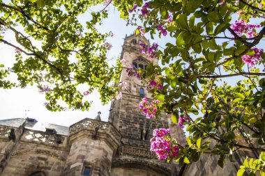 Pembe ve fucsia çiçekli ağaç üzerinden görülen Bolzano katedral çan kulesi