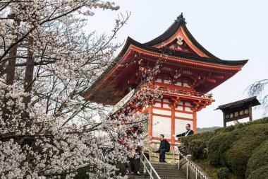 Güzel sakura kiraz çiçekleri sırasında hanami Kiyomizu-dera Budist Tapınağı, Kyoto, Japonya
