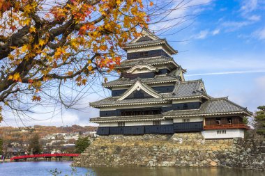 Sonbahar, Japonya, en ünlü tarihi kaleler ile ön planda bir akça ağaç Matsumoto Kalesi veya karga Castle tutun