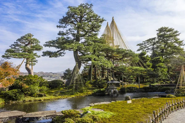 Yukitsuri Liny Dla Zachowania Drzew Kenroku Sześć Atrybuty Ogród Jeden — Zdjęcie stockowe