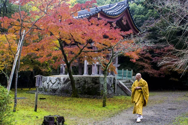 Buddyjski Mnich Idzie Świątyni Daigoji Jesieni Kyoto Japonia Dziedzictwo Unesco — Zdjęcie stockowe