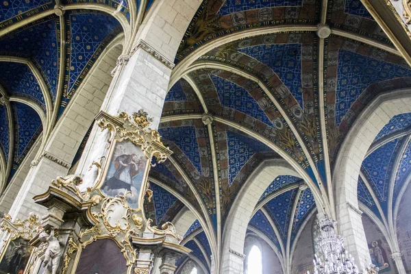 Dentro Catedral Basílica Natividad Santísima Virgen María Sandomierz Polonia Una —  Fotos de Stock