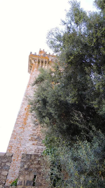 Castle Beja Ett Medeltida Slott Den Portugisiska Staden Beja Regionen — Stockfoto