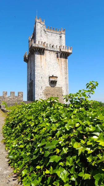 Zamek Beja Średniowieczny Zamek Portugalskim Mieście Beja Regionie Alentejo — Zdjęcie stockowe