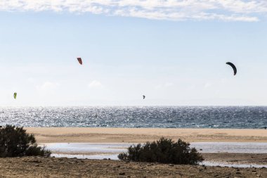 İnsanlar Tarifa, Andalusia, Güney İspanya dışında Bolonia plaj Kiteboarding