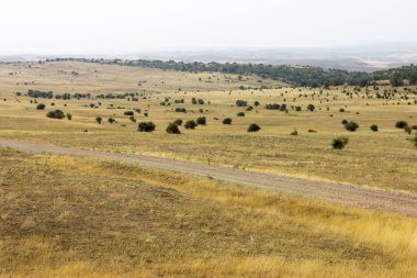 Sierra de Caldereros düşük bir dağ içinde Campillo de Duenas, Guadalajara, İspanya