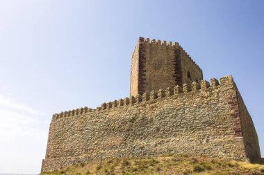 Kale Molina de Aragon, bir suru Castilla-La Mancha, İspanya daki. Çevreleyen vadiyi komuta bir tepe üzerinde yer alır ve bir dış satır duvarlar, kapılar ve kuleleri ile kurulan