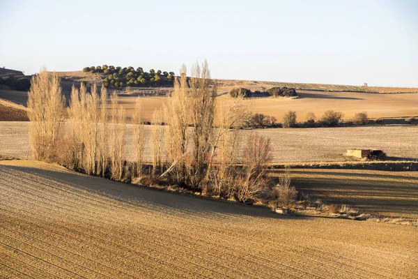 Trockene Und Warme Landschaft Winter Den Feldern Von Peleas Arriba — Stockfoto