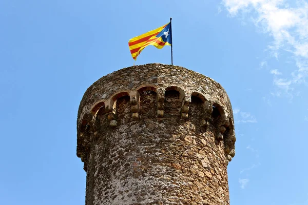 Una Senyera Estelada Bandera Oficial Normalmente Ondeada Por Los Partidarios — Foto de Stock