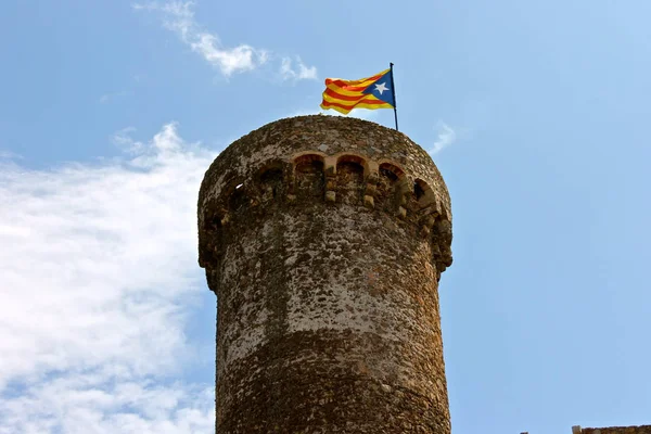 Una Senyera Estelada Bandera Oficial Normalmente Ondeada Por Los Partidarios — Foto de Stock