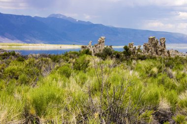 Mono Gölü, Mono County, Kaliforniya 'da büyük, sığ bir tuzlu soda gölü, tufa kaya oluşumları var.