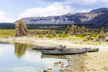 Mono Gölü, Mono County, Kaliforniya 'da büyük, sığ bir tuzlu soda gölü, tufa kaya oluşumları var.