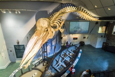 Nantucket, Massachusetts. 46-ayak (14 metre) boğa Sperm balina Nantucket balina Müzesi, başlangıçta bir mum fabrikası tavana tam iskelet