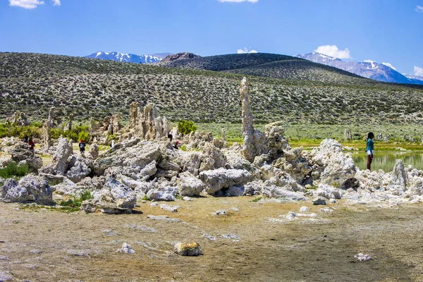 Lac Mono Grand Lac Salin Peu Profond Soude Dans Comté — Photo