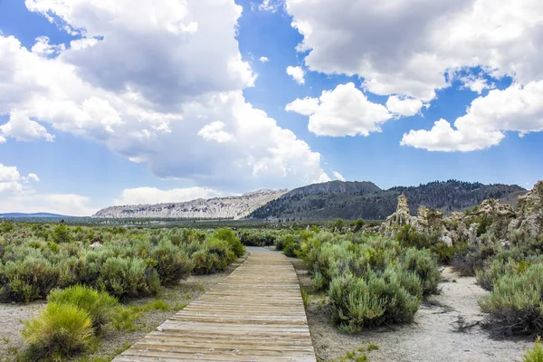 Mono Lake Large Shallow Saline Soda Lake Mono County California — Stock Photo, Image