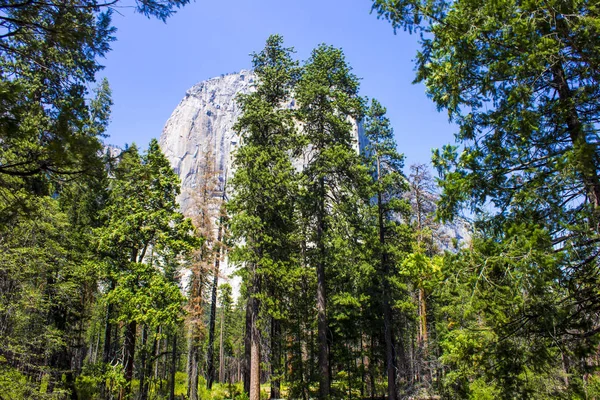 Blick Auf Capitan Aus Dem Yosemite Tal Yosemite Nationalpark Kalifornien — Stockfoto