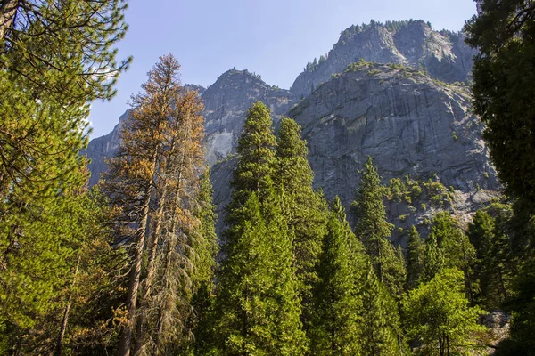 Vues Sur Vallée Yosemite Dans Parc National Yosemite Californie Orientale — Photo