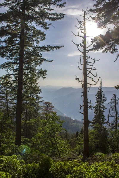 Výhled Yosemitské Údolí Oblasti Washburn Bodu Pozorování Světového Dědictví Unesco — Stock fotografie