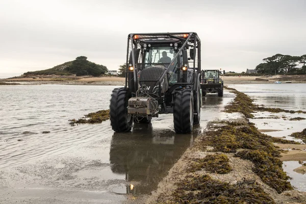 Carantec Frankrijk Dompelpompen Overgang Naar Ile Callot Een Getijde Eiland — Stockfoto