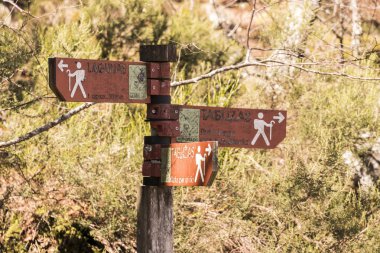 Muniellos doğa rezerv, İspanya