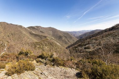 Muniellos doğa rezerv, İspanya