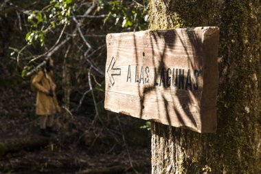 Muniellos doğa rezerv, İspanya