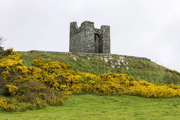 Castle Ward, Northern Ireland — Stock Photo, Image