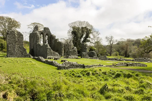 Inch Abbey, Северная Ирландия — стоковое фото