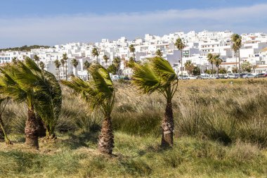 Conil de la Frontera, Spain