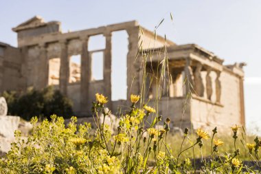 Erechtheion, Atina, Yunanistan