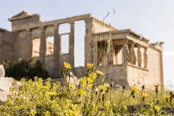 Erechtheion, Aten, Grekland — Stockfoto