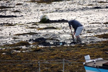 Camaret 'te balık tutmak