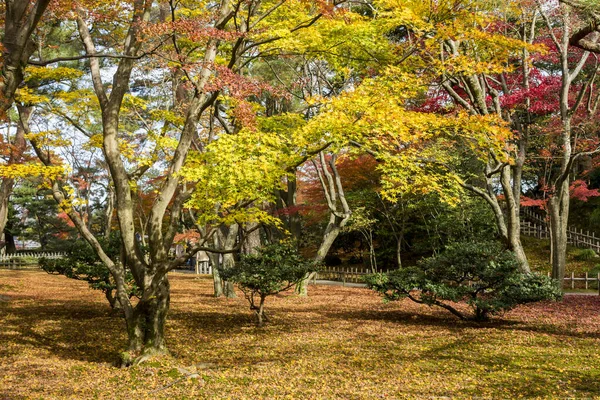 Kanazawa Japon Kenroku Ancien Jardin Privé Des Trois Grands Jardins — Photo