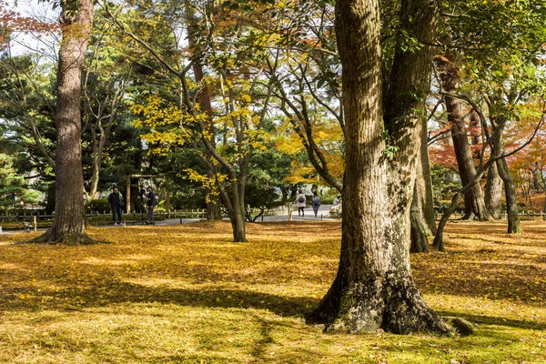 Kanazawa Giappone Kenroku Vecchio Giardino Privato Uno Dei Tre Grandi — Foto Stock