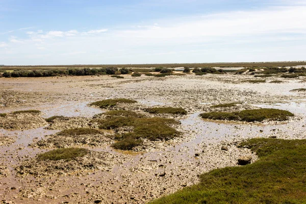 Tavira Portogallo Ilha Tavira Isola Nel Parco Naturale Ria Formosa — Foto Stock