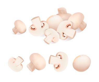 Kültürlü mantar beyaz arka plan ayarlamak ve yığın olanların izole. Taze petrol gerçekçi vektör çizim