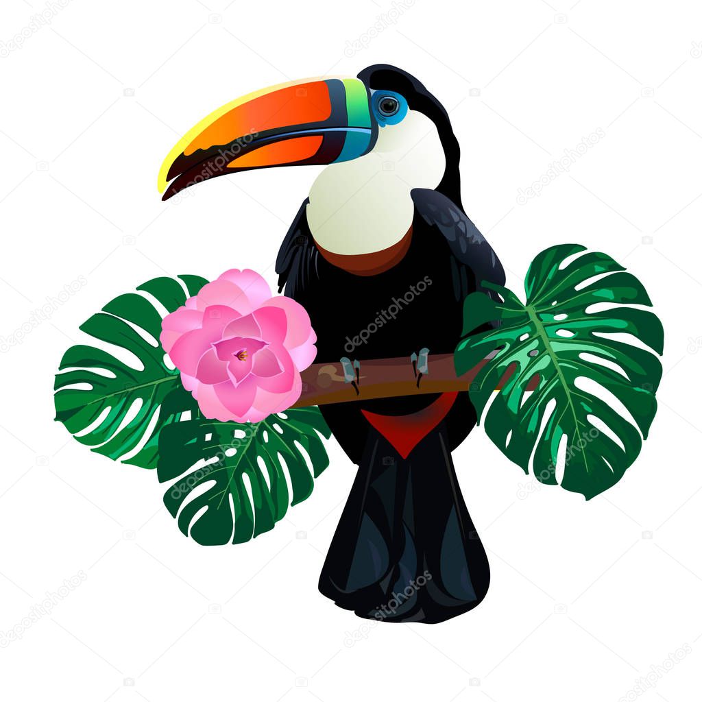 Bright toucan bird sitting on branch around palm monstera leaves and flowers on white background. Vector tropical exotic illustration for your summer design