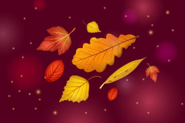 Işıklar ve pırıltılar güzel koyu kahverengi zemin üzerine izole küme yaprak. Merhaba sonbahar arka plan tebrik kartları tasarımı veya Web sitesi için soyut. Vektör çizim