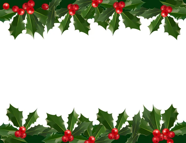 Neşeli Noel ve mutlu yeni yıl ile holly Karpuzu beyaz zemin üzerine desen sınır garland. Arka plan Christmas dekorasyon için. Vektör kış tatil çerçeve çiçek şekil
