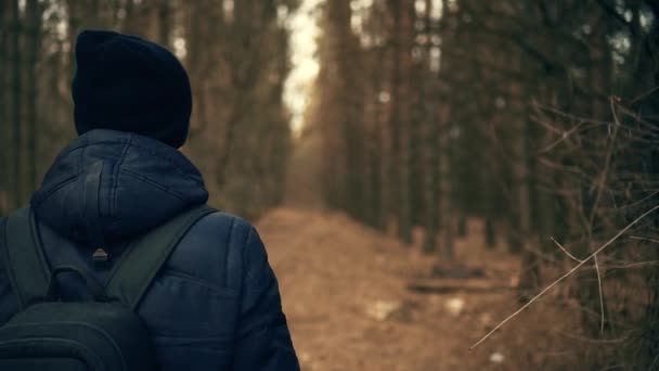 Człowiek spacerujący w lesie — Wideo stockowe