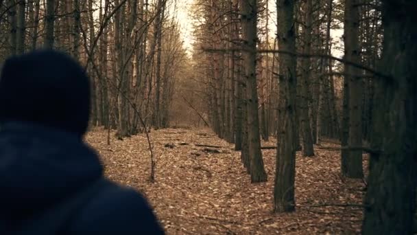 Hombre caminando en la naturaleza del bosque — Vídeos de Stock