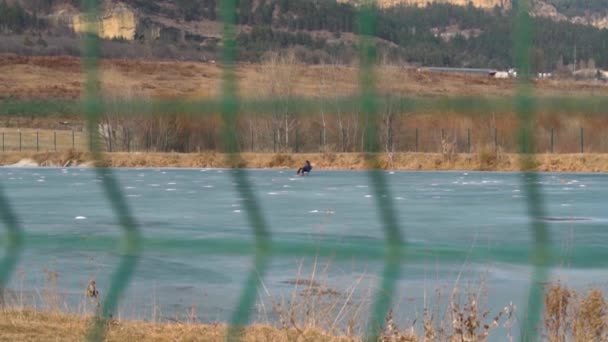 Pescador furtivo captura peixe em um fechado — Vídeo de Stock