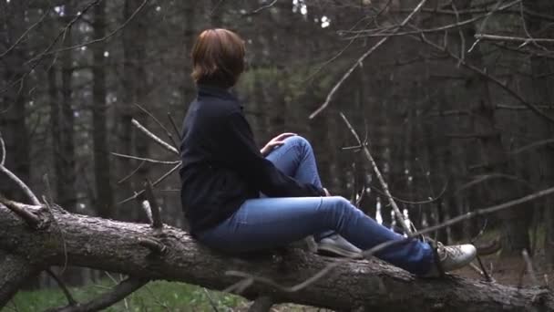 Chica sentada en un árbol en un bosque salvaje — Vídeo de stock